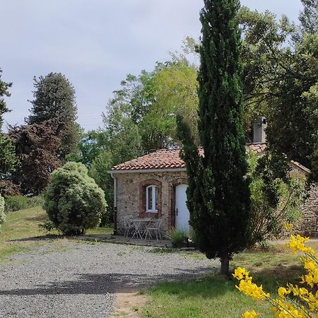 Chateau La Villatade Salleles-Cabardes Eksteriør bilde
