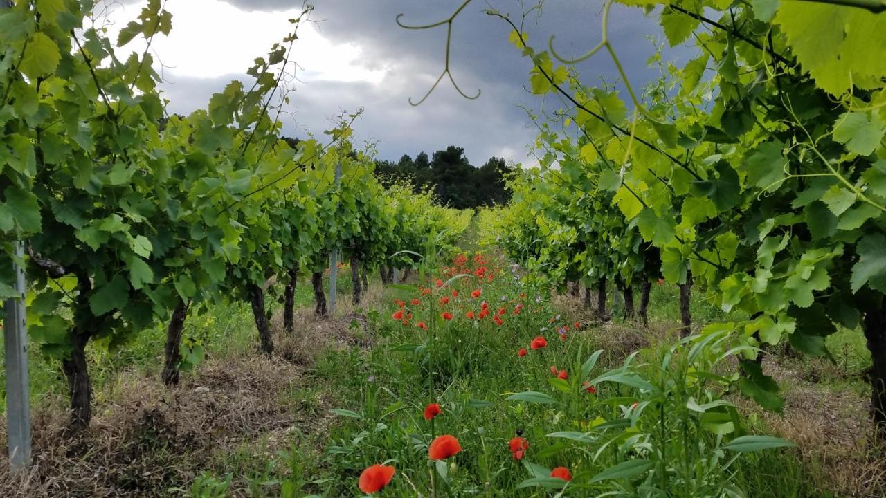 Chateau La Villatade Salleles-Cabardes Eksteriør bilde